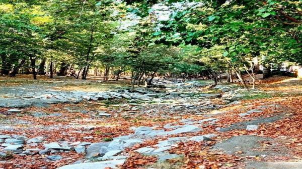 خودنمایی پاییز در روزهای آخر شهریور در مشهد